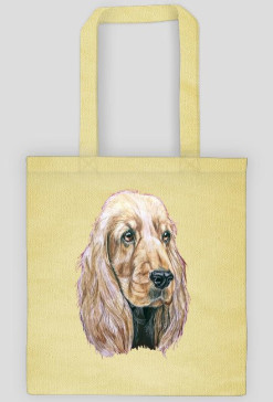 Spaniel