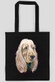 Spaniel