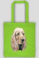 Spaniel