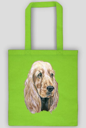 Spaniel
