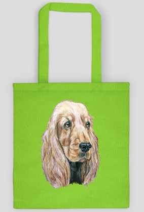 Spaniel