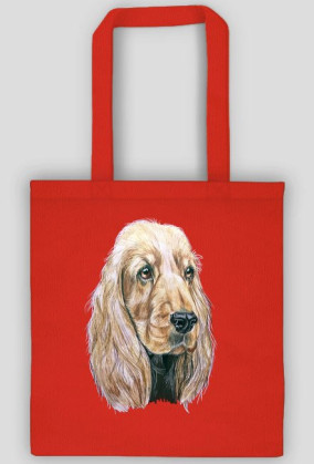 Spaniel