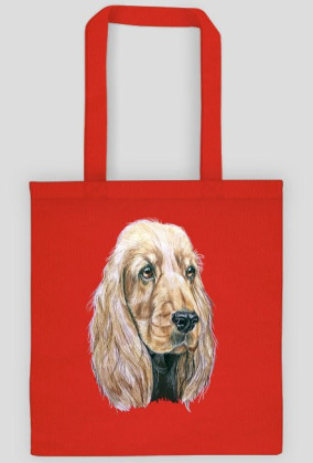 Spaniel