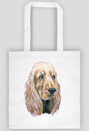 Spaniel