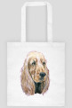 Spaniel