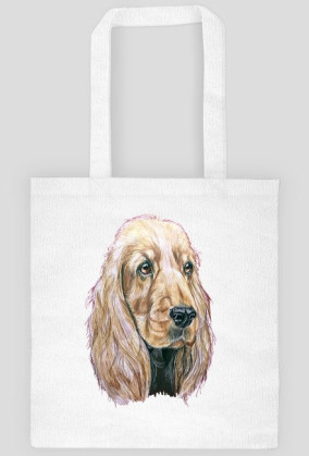 Spaniel