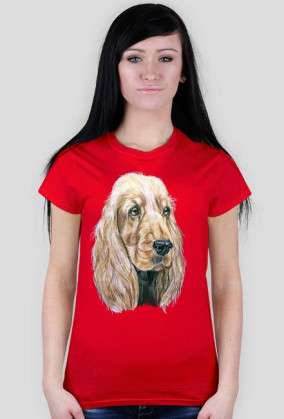 Spaniel