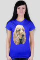 Spaniel