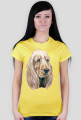 Spaniel
