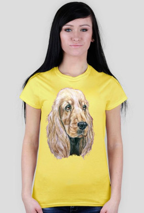 Spaniel