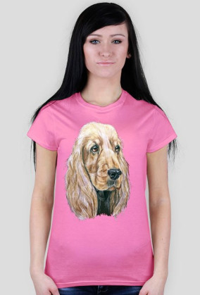 Spaniel