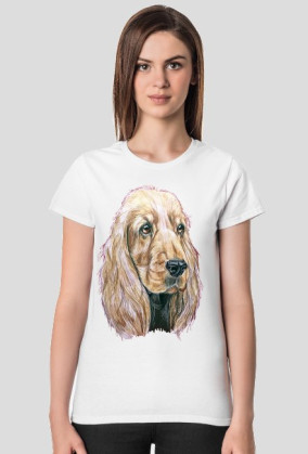Spaniel