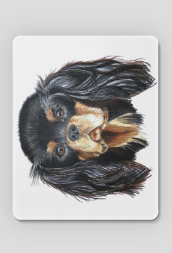 Cavalier