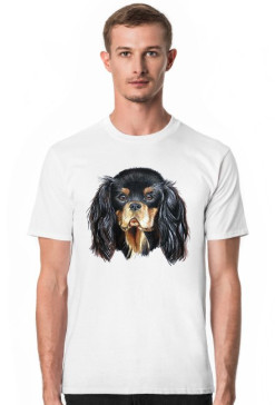 Cavalier