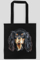 Cavalier
