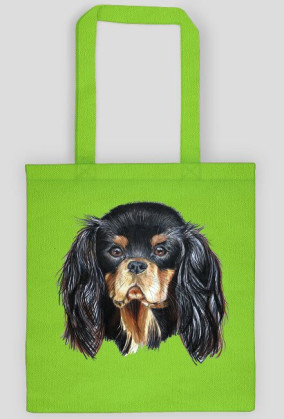 Cavalier