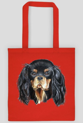 Cavalier