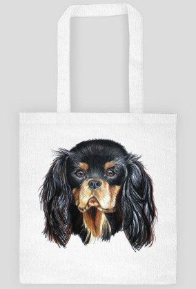 Cavalier