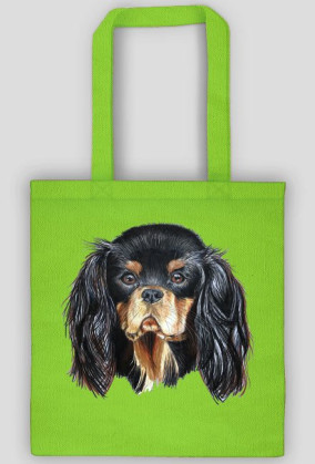 Cavalier