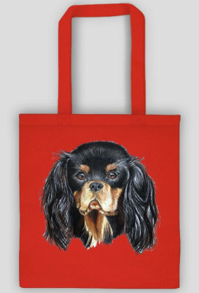 Cavalier