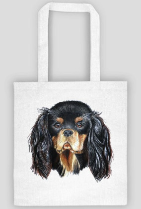 Cavalier