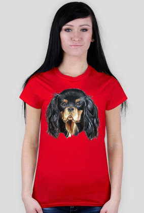 Cavalier