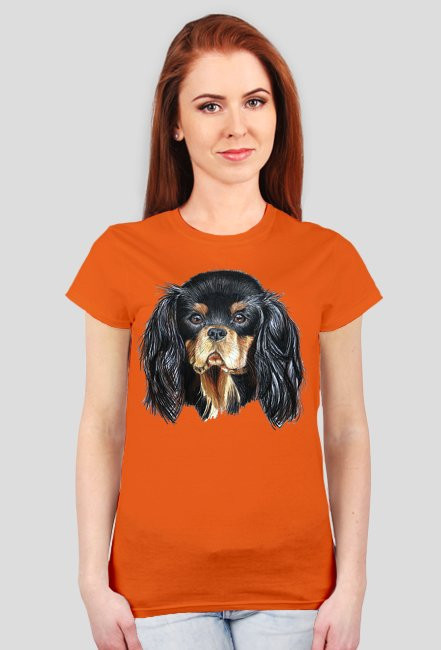 Cavalier