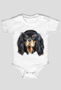 Cavalier