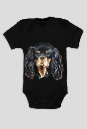 Cavalier