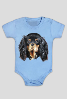 Cavalier