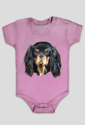 Cavalier