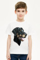 Doberman