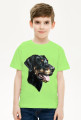 Doberman