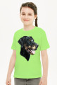 Doberman