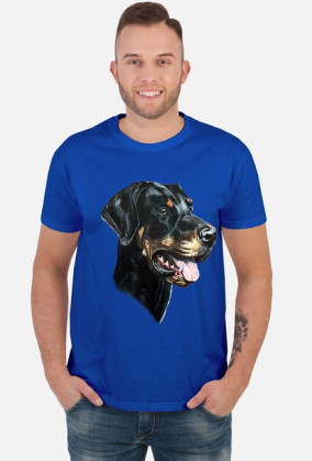 Doberman