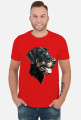 Doberman