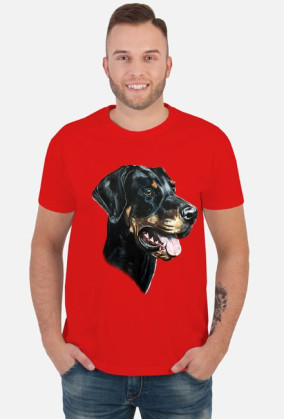 Doberman