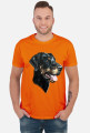 Doberman