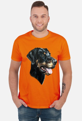 Doberman