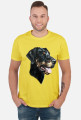 Doberman