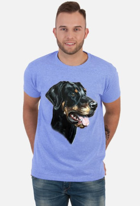 Doberman