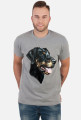 Doberman