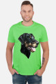 Doberman