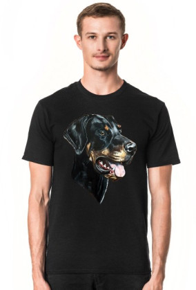 Doberman