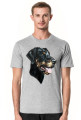 Doberman