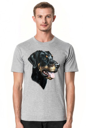 Doberman