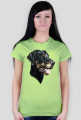 Doberman