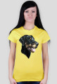 Doberman