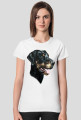 Doberman