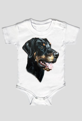 Doberman